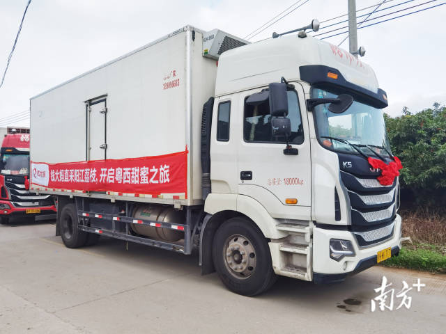 6月5日，钱大妈阳江荔枝直采基地发车仪式在阳西县上洋镇那西村举行。