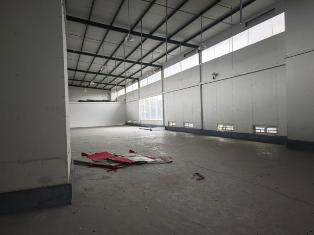 小洲艺术区大部分区域都处于荒废或闲置状态。