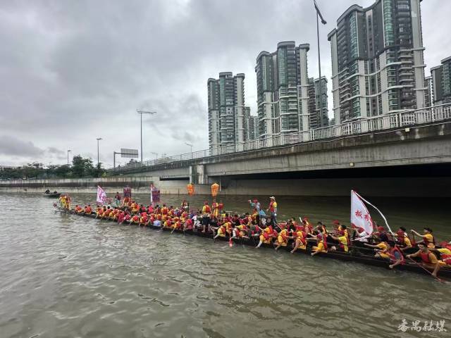 每年端午时节，板桥村的龙舟都会到番禺、海珠各处兄弟村趁景。（来源：番禺融媒）