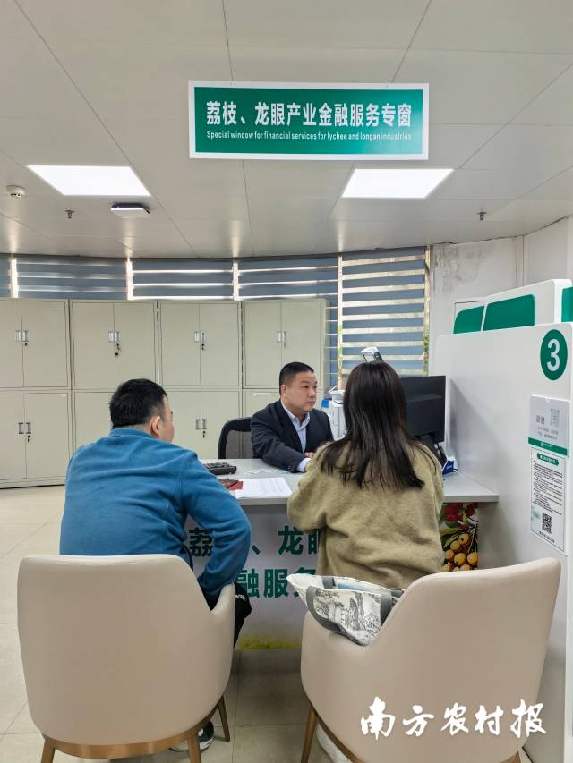 農(nóng)行廣東茂名分行專門成立了荔枝,、龍眼產(chǎn)業(yè)金融服務(wù)中心,，安排專職團(tuán)隊、專屬產(chǎn)品和業(yè)務(wù)專窗,，為荔枝和龍眼產(chǎn)業(yè)客戶提供全鏈條,、一站式金融服務(wù)。