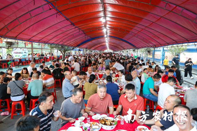 板桥村的欢声笑语将年复一年持续下去。