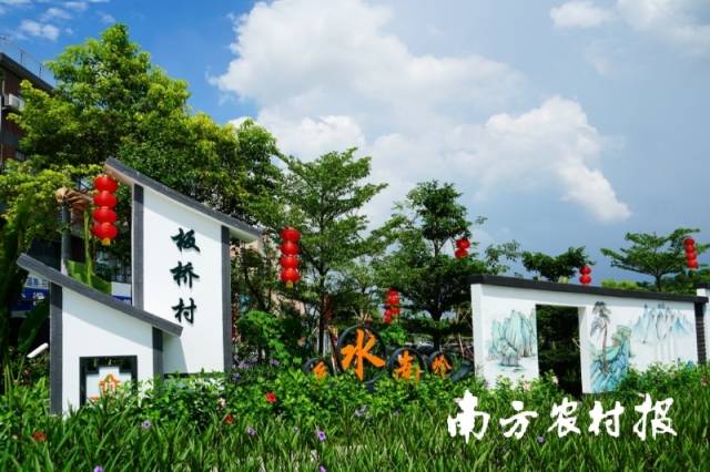 板桥村村容村貌大幅提升。（由受访者提供）