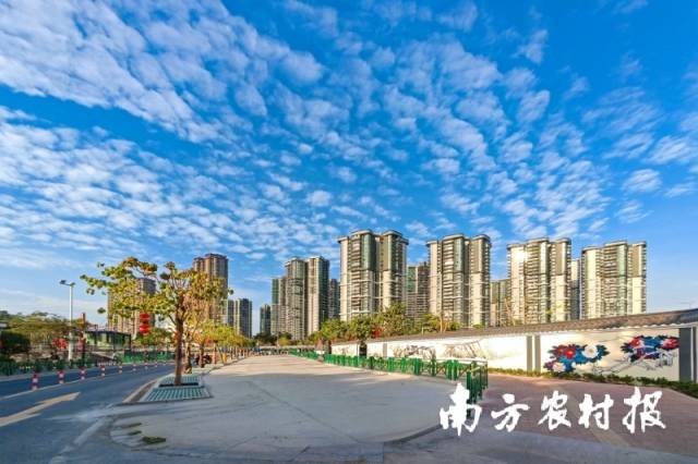 板桥村入选“全国城乡社区高质量发展典型案例”。（由受访者提供）