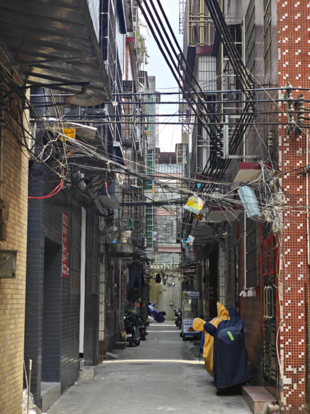 小洲村背街里巷。