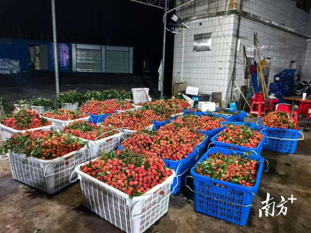 汉阴县应急规画局配发装备助力消防营救