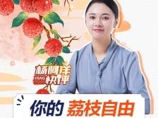 杨阿洋快评丨你的荔枝自由，广东承包了