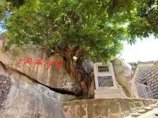 崩山沟战役、尖石洞……难忘雷岭那一抹“红” | 文化潮南行