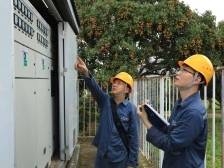 电足，荔好，产业旺！