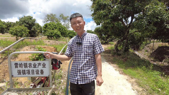 林树列介绍轨道机如何运用到荔枝采摘。