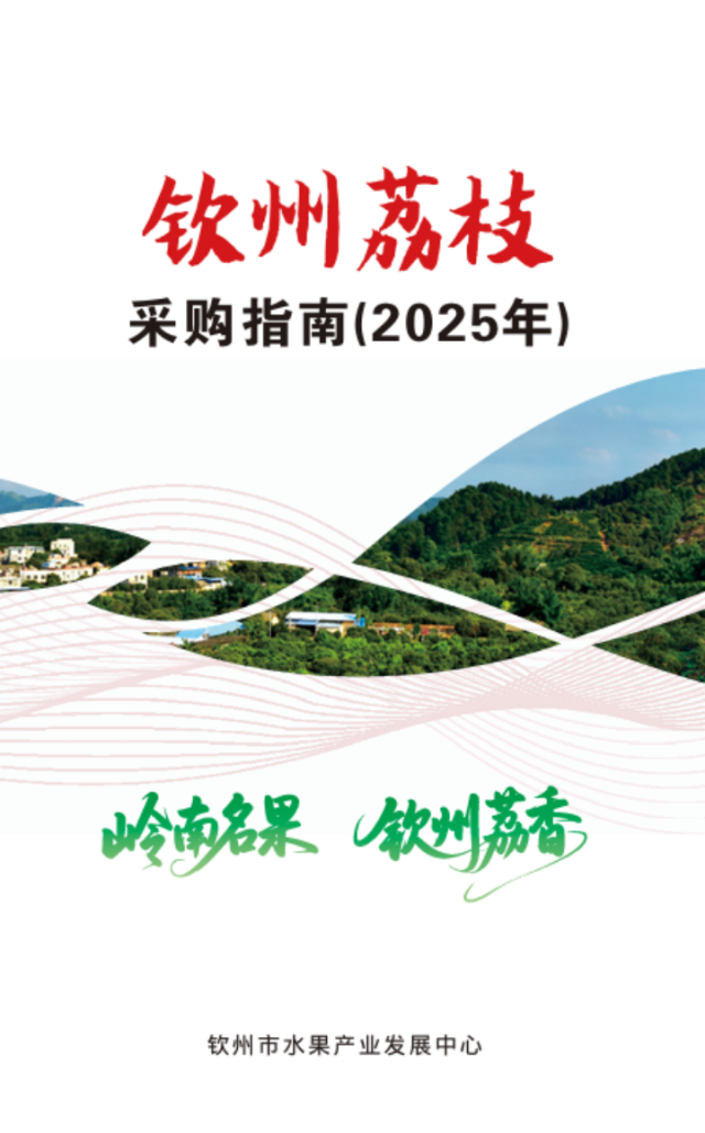 欽州荔枝采購指南（2025年）