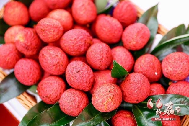 广东荔枝。