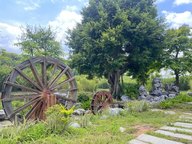 南方农村报 王富迪 拍摄