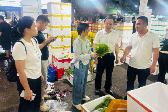 崇左市使命组实地碰头了江门市江会瓜果批发市场等地销售龙须菜情景