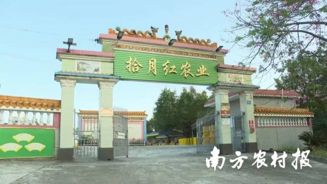 恩平市拾月红农业科技有限公司 恩平市拾月红农业科技有限公司