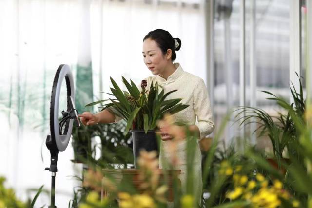 加快建设现代化产业体系（新视点）——访国务院国资委规划发展局负责人