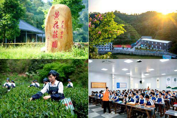 焕然一新的紫金县黄花村。