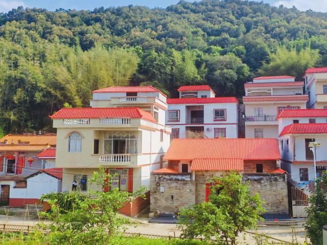 南方农村报 王富迪 拍摄