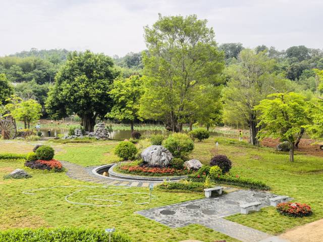 南方农村报 王富迪 拍摄