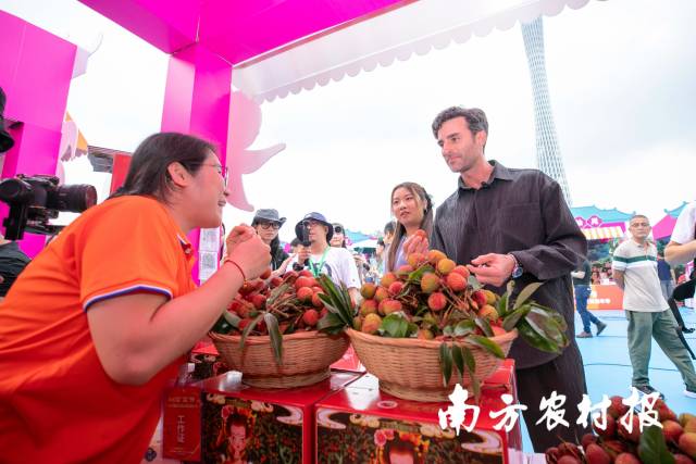 国际友人品鉴广东荔枝。