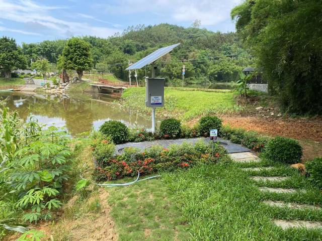 南方农村报 王富迪 拍摄