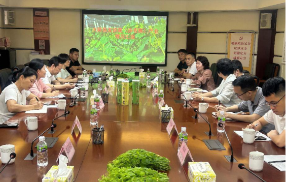 2025年“桂字号”崇左市龙须菜（赤苍藤）产销对于接（广东）行动现场