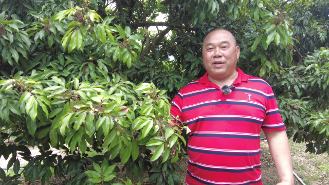 张友武向记者介绍种植情况。