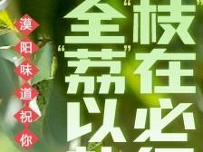 全“荔”以赴，“枝”在必得！“漠阳味道”为高考学子甜蜜加油！