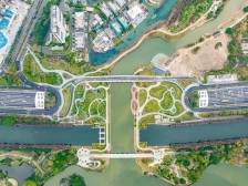 顺·势｜顺德：城市向美，投资于人