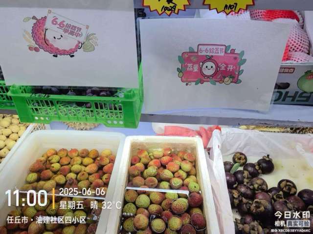 河北省滄州市任丘市社區(qū)水果店為“6·6給‘荔’節(jié)”打call 