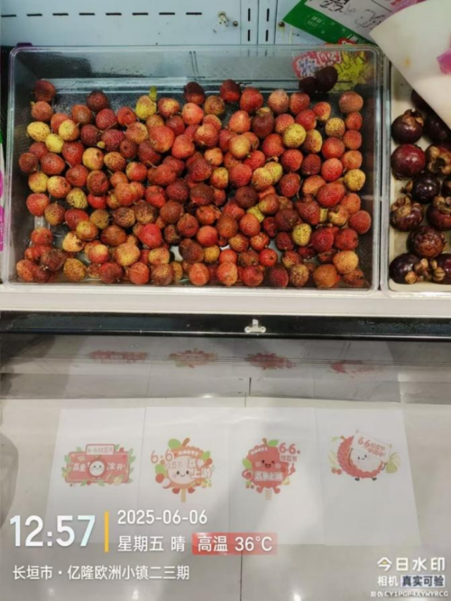 河南省長(zhǎng)垣市·億隆歐洲小鎮(zhèn)二三期,。