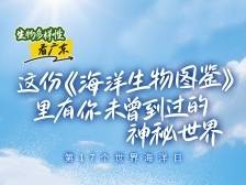 这份《海洋生物图鉴》里有你未曾到过的神秘世界