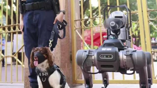 高考首日，“机器人”警犬上岗巡逻护考