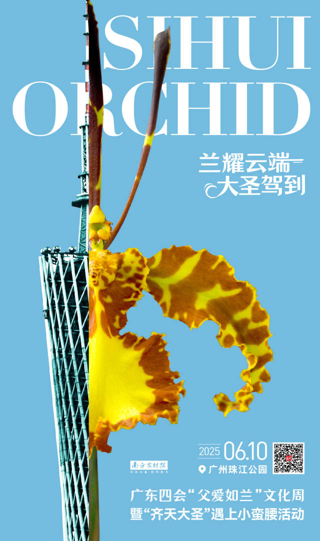 “齐天大圣”遇上小蛮腰