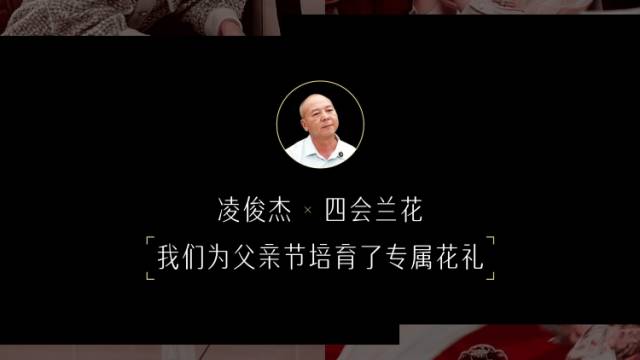 凌俊杰×四会兰花：我们为父亲节培育了专属花礼「四会兰花父亲节专属策划」
