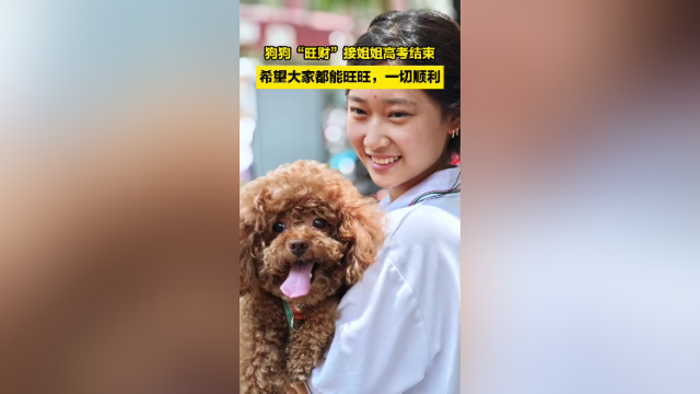 狗狗“旺财”接姐姐高考结束，希望大家都能旺旺，一切顺利