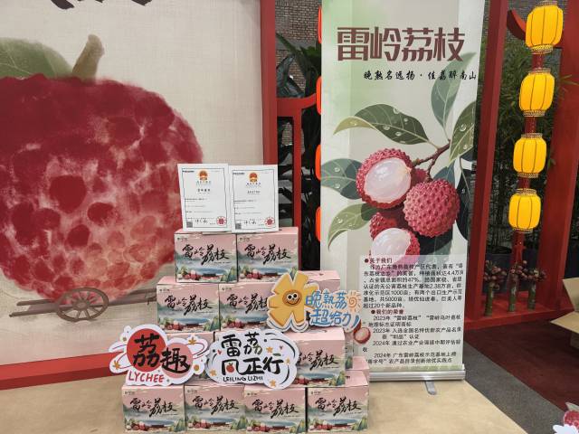 雷岭荔枝。 雷岭荔枝。