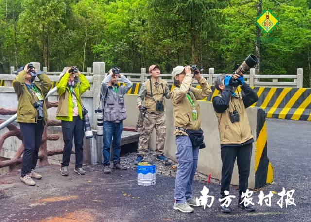第四届南岭观鸟嘉年华活动