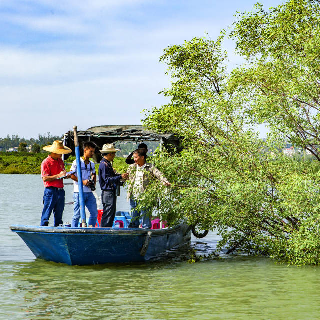 红树林人工造林调查。拍摄：严余易