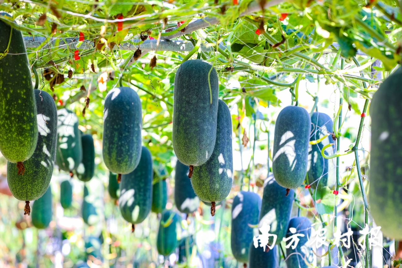 受访者供图
