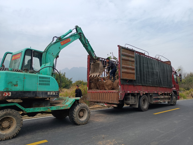 驻乳源瑶族自治县一六镇工作队开展乡村美化工作