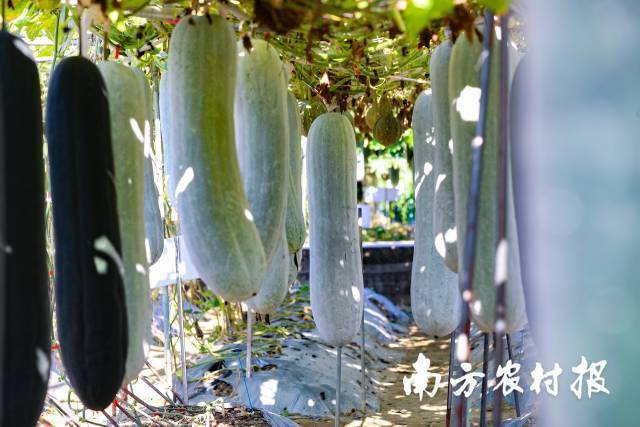 天下首笔油气矿业权出让收益在扬州开征