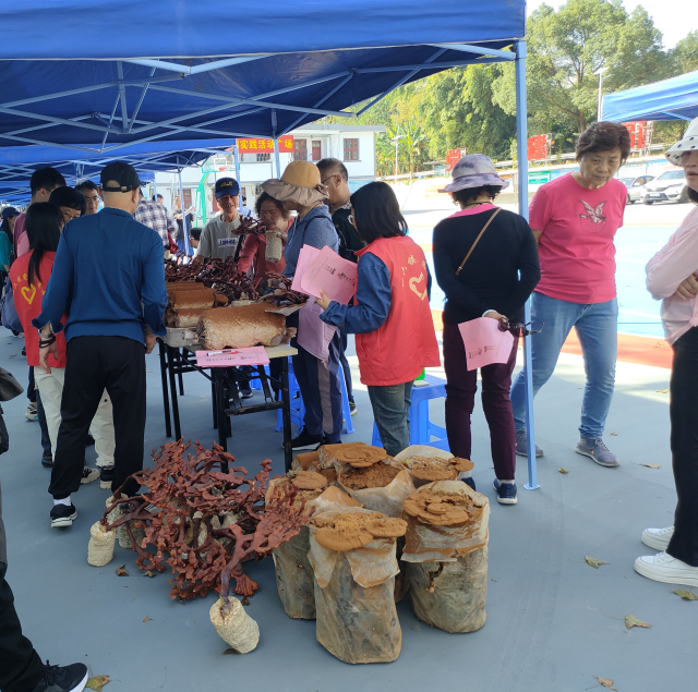 驻乳源瑶族自治县一六镇工作队组织产销对接活动