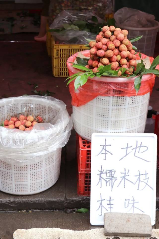 東莞桂味已經開售,。（圖片來源：荔香大朗）
