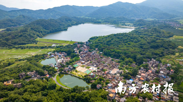 山水并秀的古村高埔。