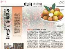 多维破局 产销双赢｜速览《南方日报·电白视窗》220期