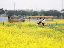 广东省农业农村厅刘棕会：建好农业对外开放合作试验区，推动南沙农业高质量发展