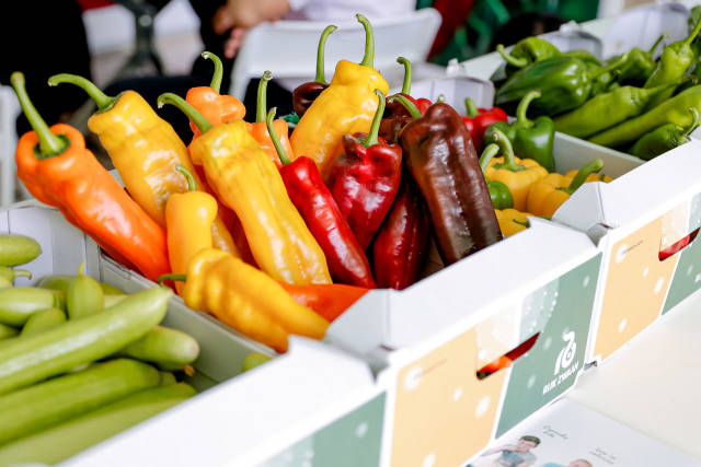 丰台春季蔬菜品种展示活动现场展示的优新蔬菜品种