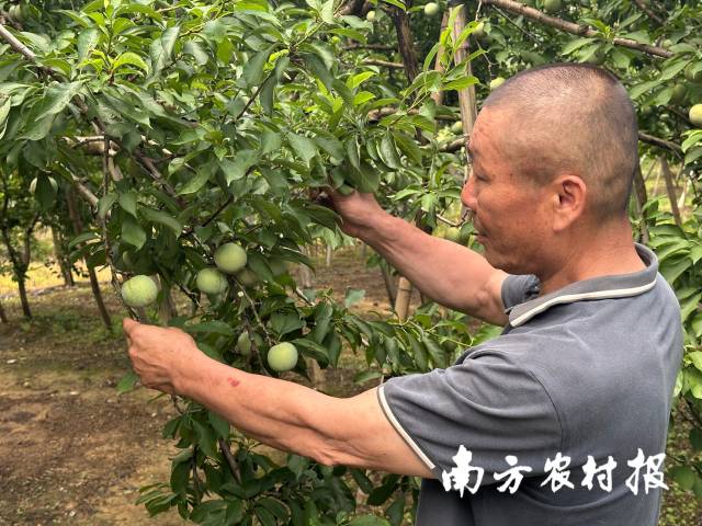 受訪者供圖