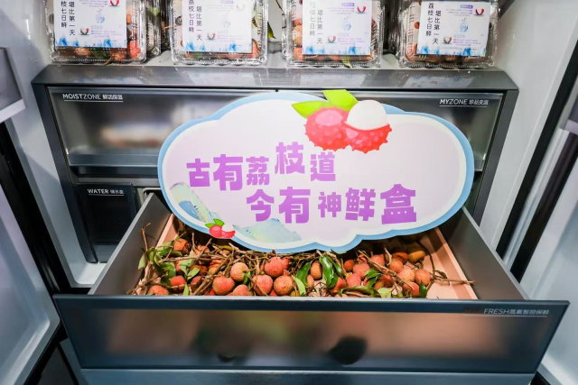 在卡萨帝冰箱里保存的宫演别致荔枝。李善德为了将别致荔枝运抵长安，荔枝道