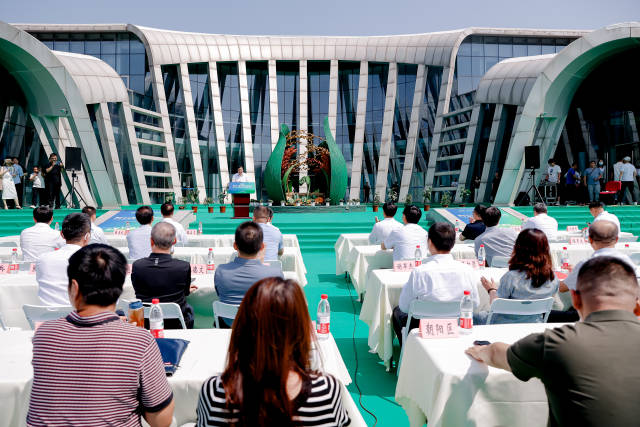 第三十二届中国北京种业大会系列活动之一丰台春季蔬菜品种展示活动现场